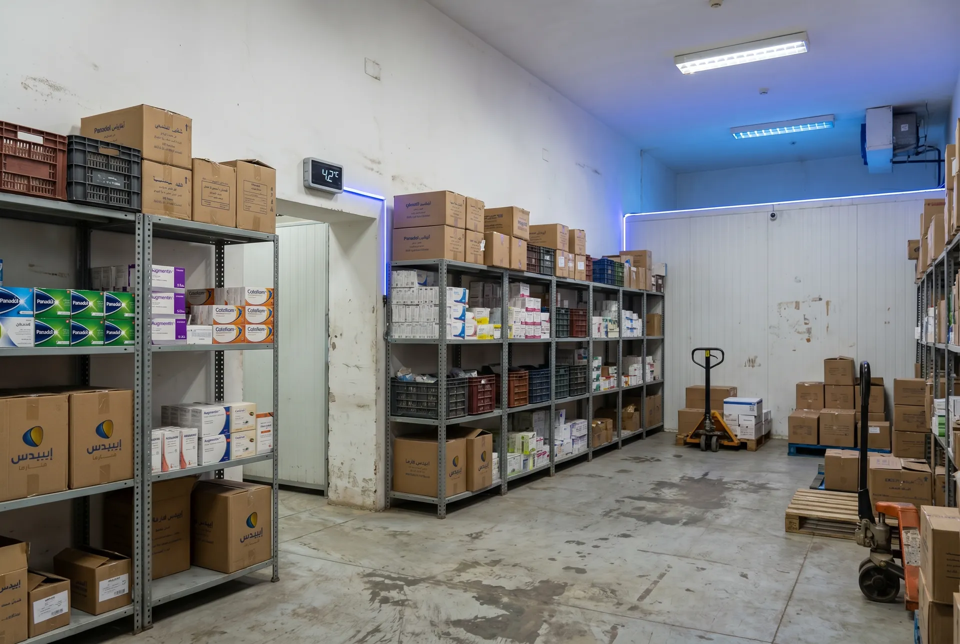 Supply Chain & Distribution